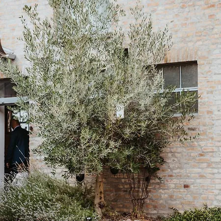 Kleine Residenz Am Schloss