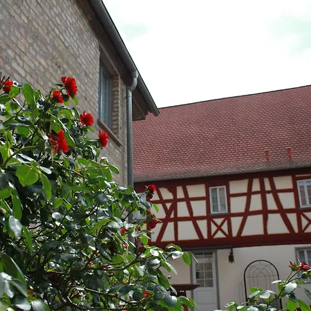 Kleine Residenz Am Schloss Hotel Hochheim am Main
